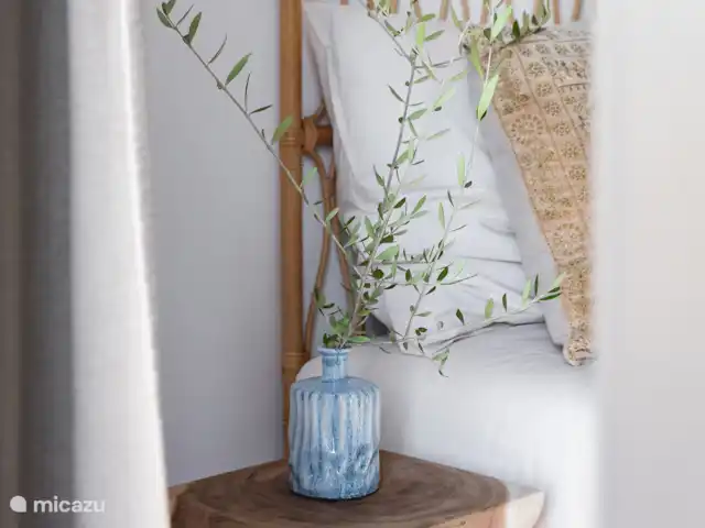 Casa Día Cor huren in Spanje, Costa Blanca, Jávea - vakantiehuis Plantje