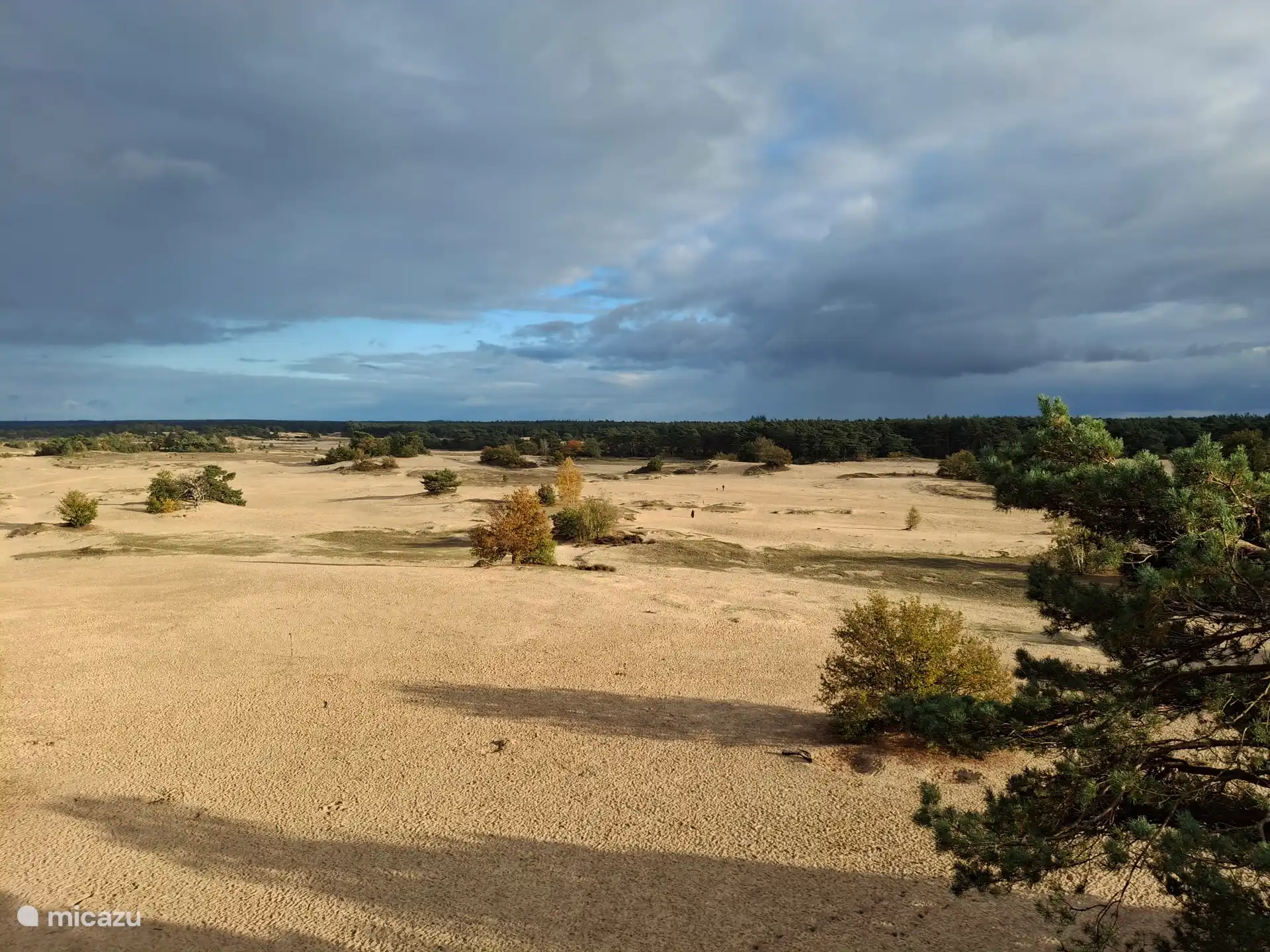 Kootwijkerzandverdrifting. Seen from the hourglass. This is a watchtower.
Wonderful.
