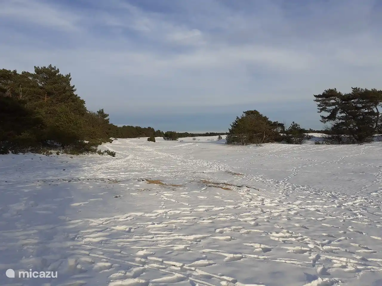 The beautiful largest sand drift in Europe is located near our park. You can enjoy walking and cycling in the area.