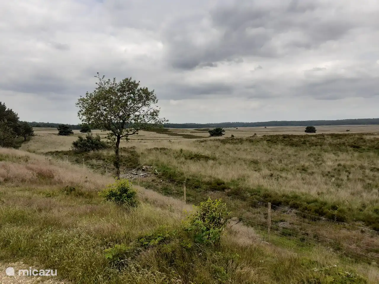 Kootwijkerzand is the largest active sand drift in Europe where you can enjoy walking and enjoying nature.