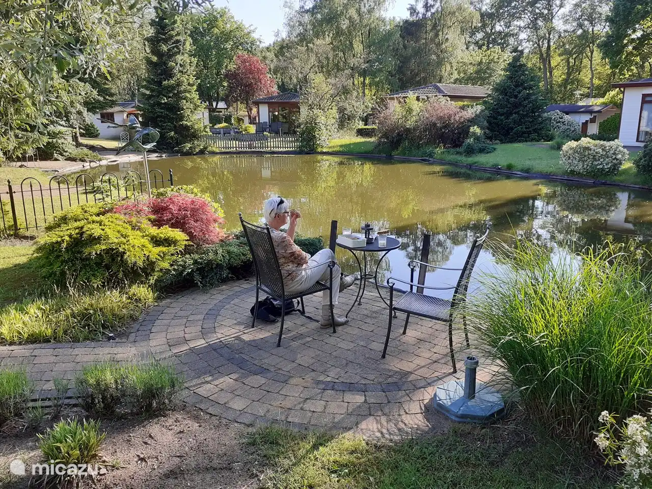 Beautiful pond with beautiful vegetation