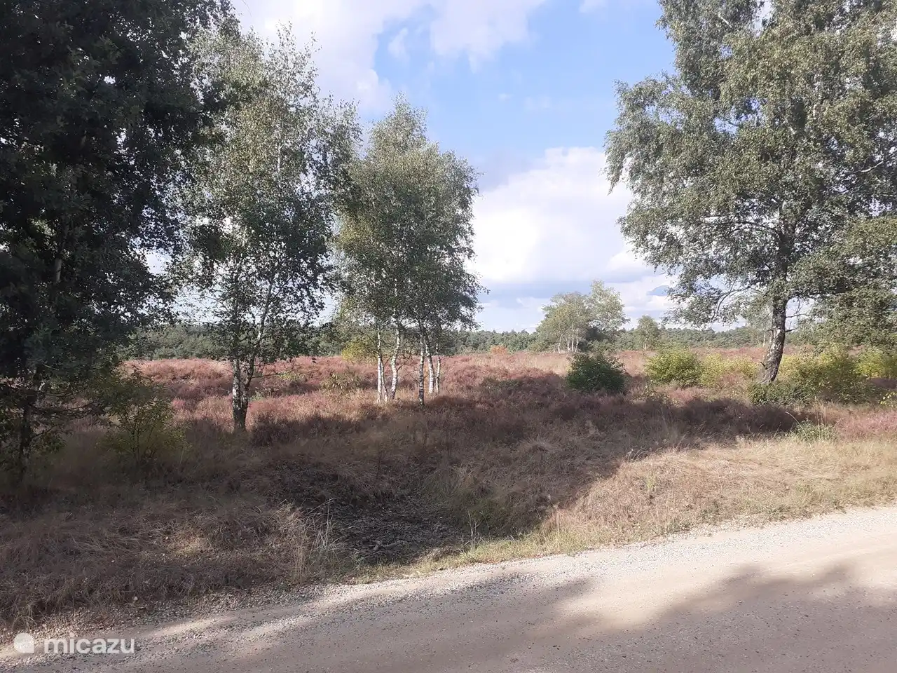 Beautiful nature can be seen on the many walking and cycling tours.