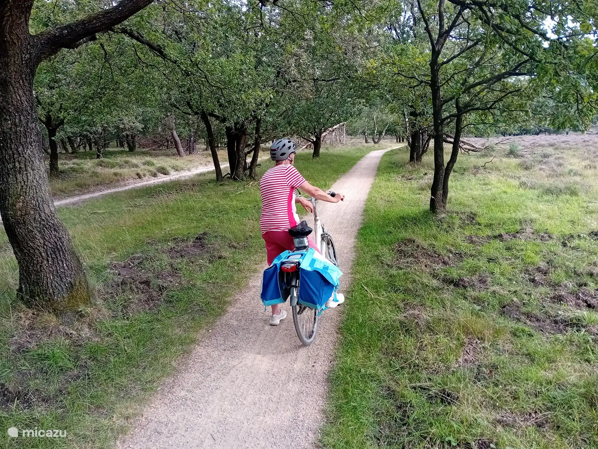 Many cycling and walking routes.