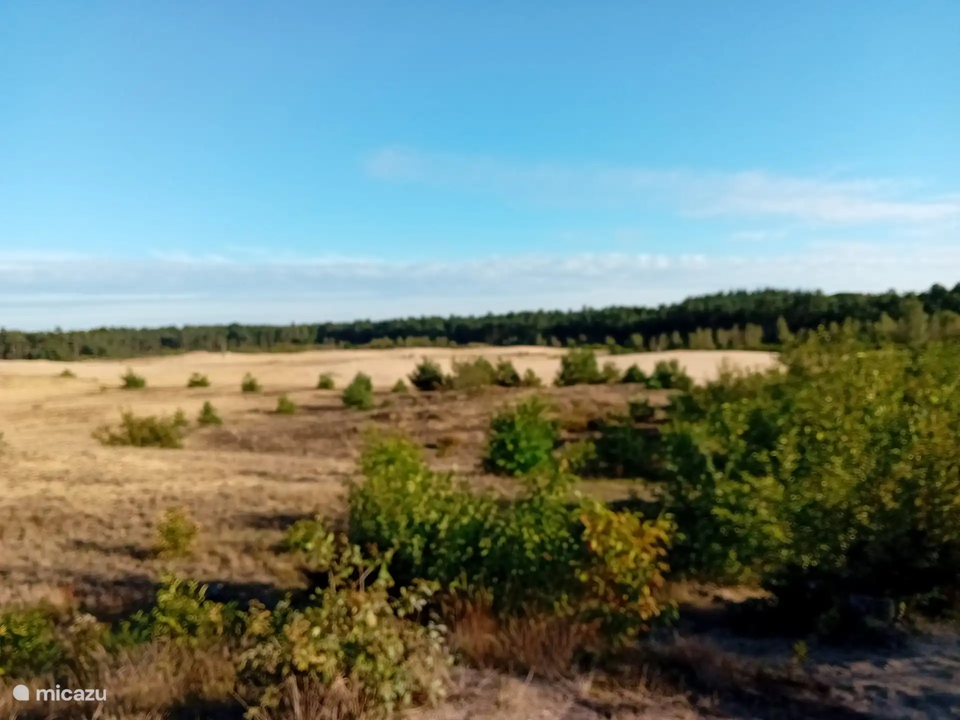 Beautiful surroundings with lots of forest and heather fields. 