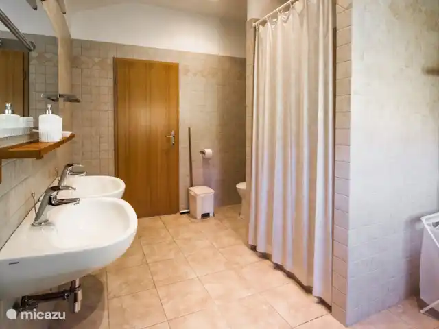 Location de Vacances Slovénie, Alpes juliennes, Most na Soci, appartement - Vila Labod, appartement Soca Salle de bain Vila Labod