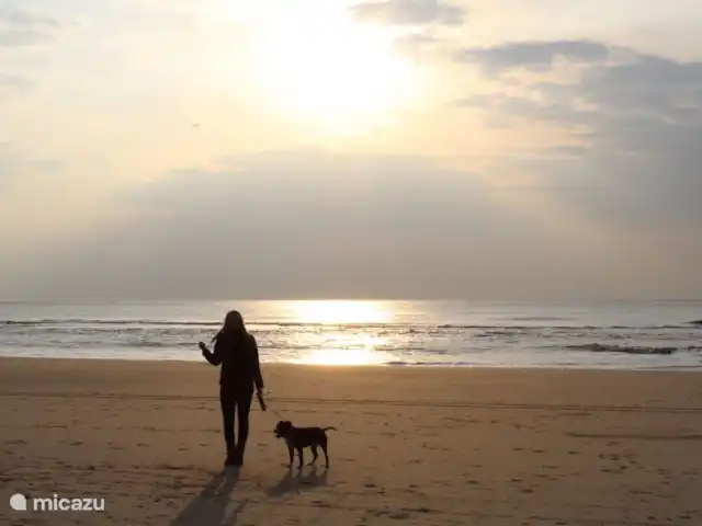 Strandparel 200 Julianadorp aan Zee huren in Nederland, Noord-Holland, Julianadorp aan Zee - bungalow Strand