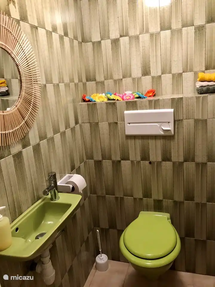 Toilette im Erdgeschoss im Retro-Stil ;-)