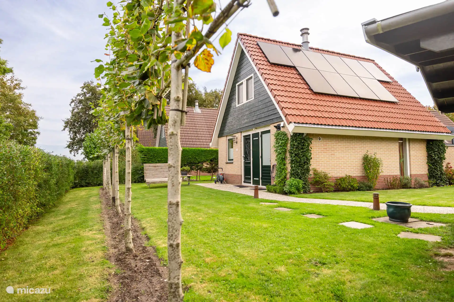 Die neuen Linden und die Sonnenkollektoren