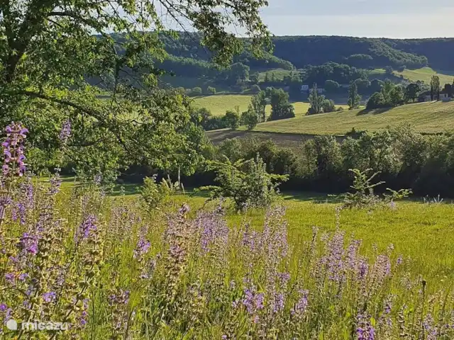 vakantiehuis huren in Frankrijk, Lot-et-Garonne, Tournon-d'Agenais – Moullinalle het uitzicht