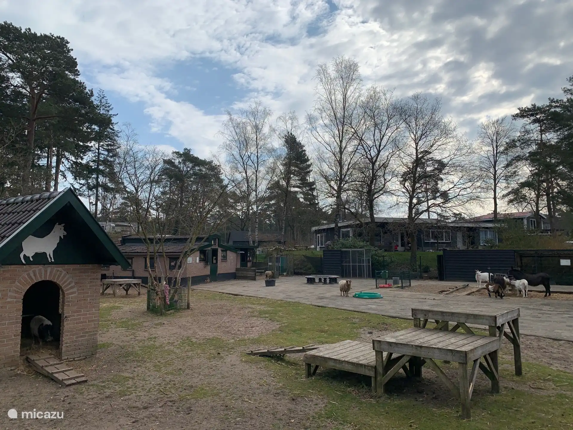 Der Streichelzoo auf dem Campingplatz Samoza