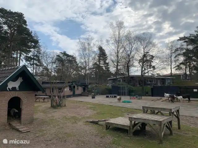 Zandhoeve 23 huren in Nederland, Gelderland, Vierhouten - boerderij De kinderboerderij op Camping Samoza