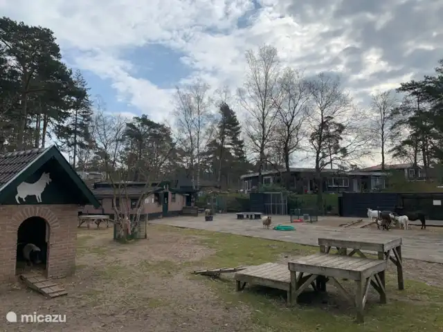 Zandhoeve 23 huren in Nederland, Gelderland, Vierhouten - boerderij Kinderboerderij op Samoza