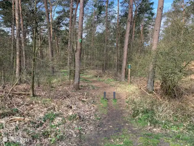 Zandhoeve 23 huren in Nederland, Gelderland, Vierhouten - boerderij Ingang wandelroute bos