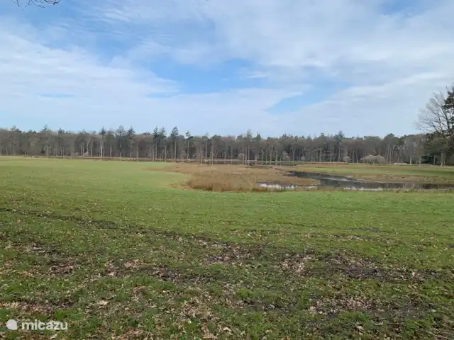 Zandhoeve 23 huren in Nederland, Gelderland, Vierhouten - boerderij Omgeving camping