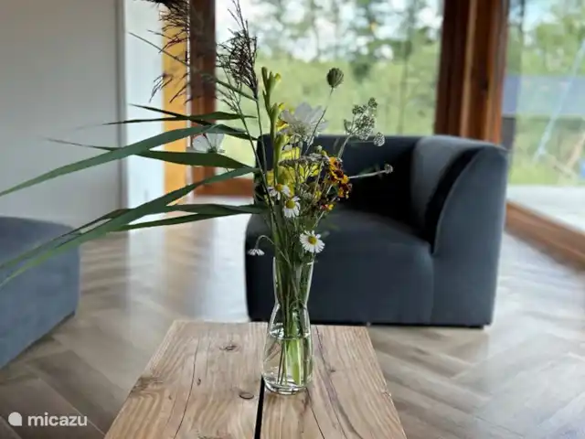 Domaine Janssloot/Âld Heach Hiem | Pays-Bas, Frise, Goëngahuizen - maison de vacances Rez-de-chaussée Janssloot