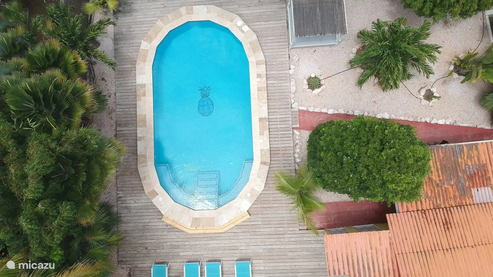 En 2025, nous aurons construit une toute nouvelle grande piscine (11 x 5,5 mètres).