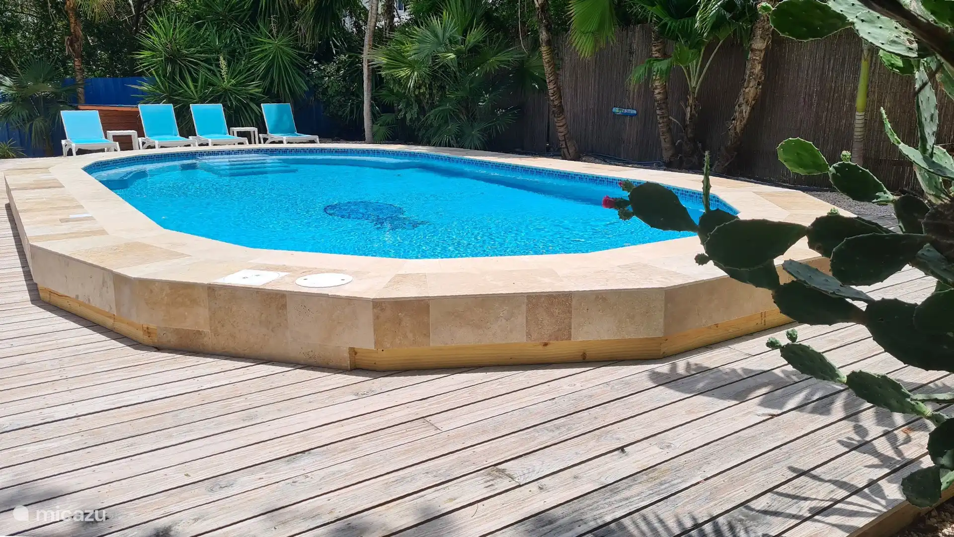 En 2025, nous aurons construit une toute nouvelle grande piscine (11 x 5,5 mètres).