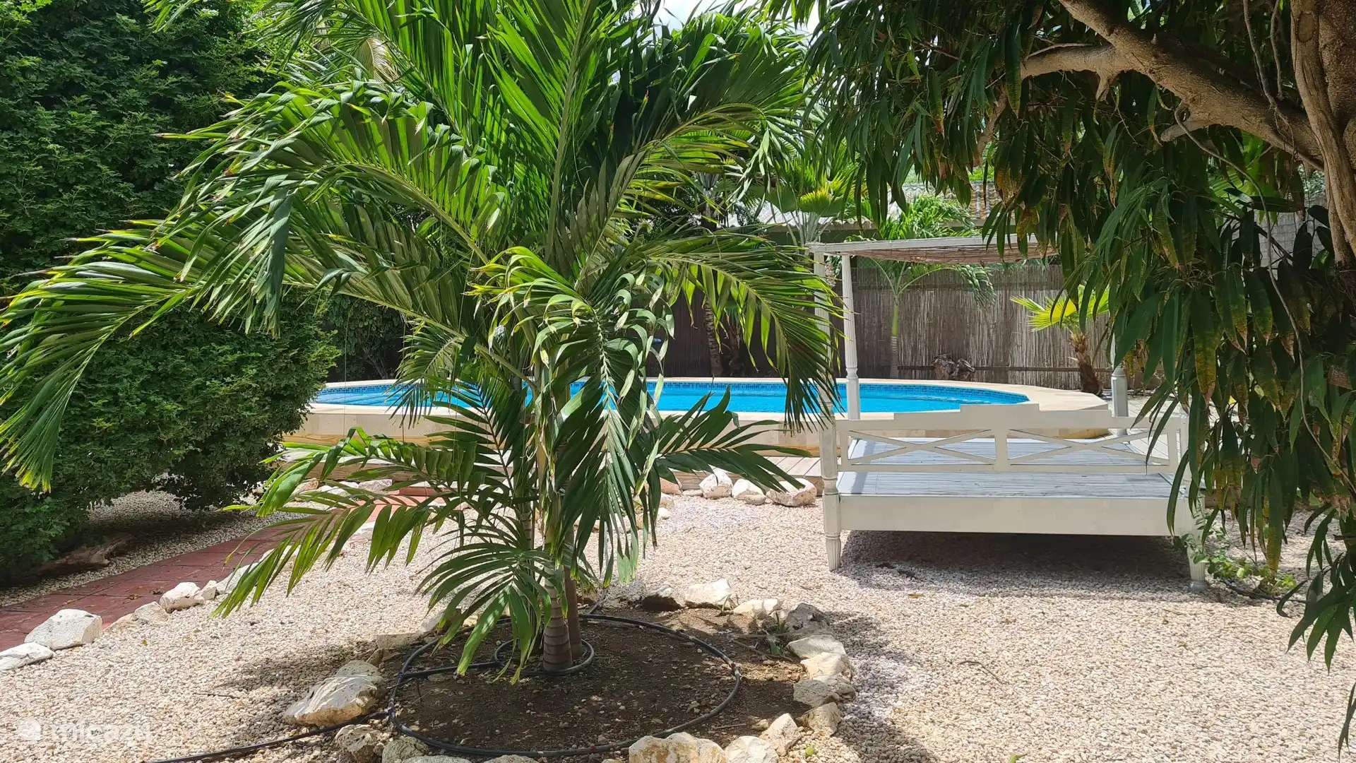 En 2025, nous aurons construit une toute nouvelle grande piscine (11 x 5,5 mètres).