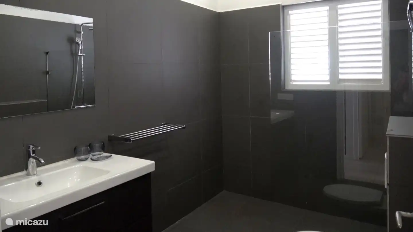Salle de bain supplémentaire dans la maison principale avec WC, douche et lavabo. 