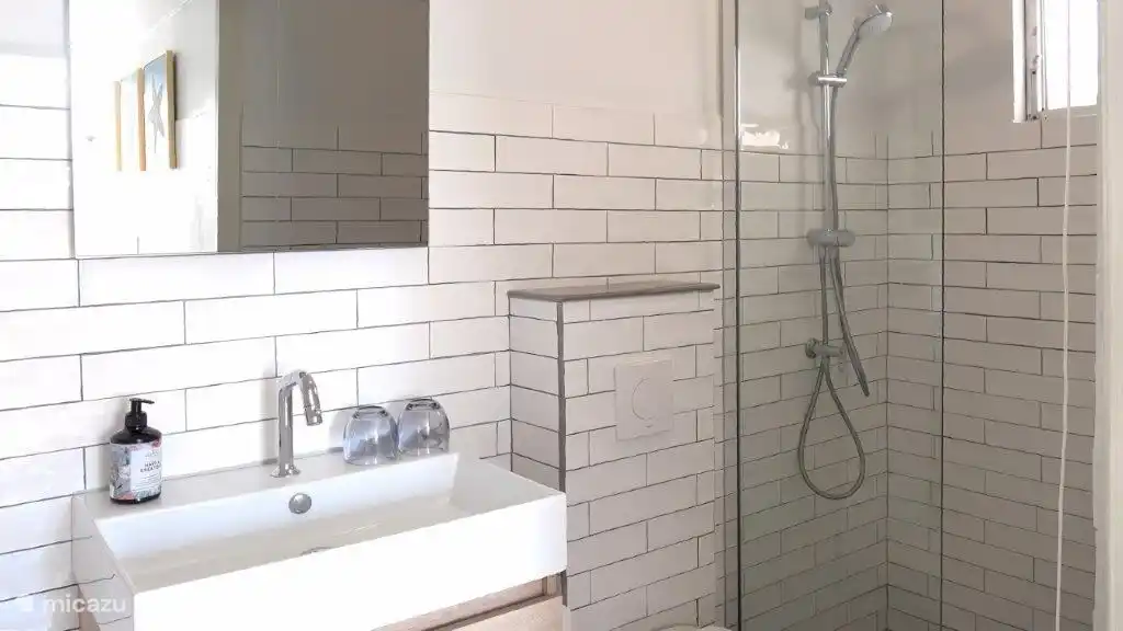 Salle de bain d'hôtes avec toilettes, lavabo et douche. 