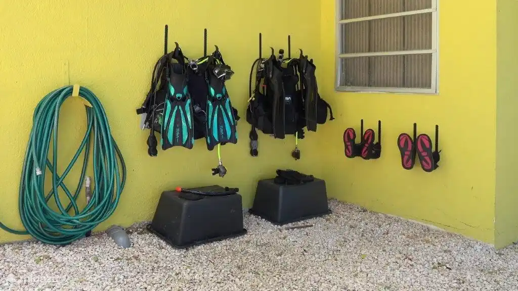 Possibilité de rincer et sécher le matériel de plongée.