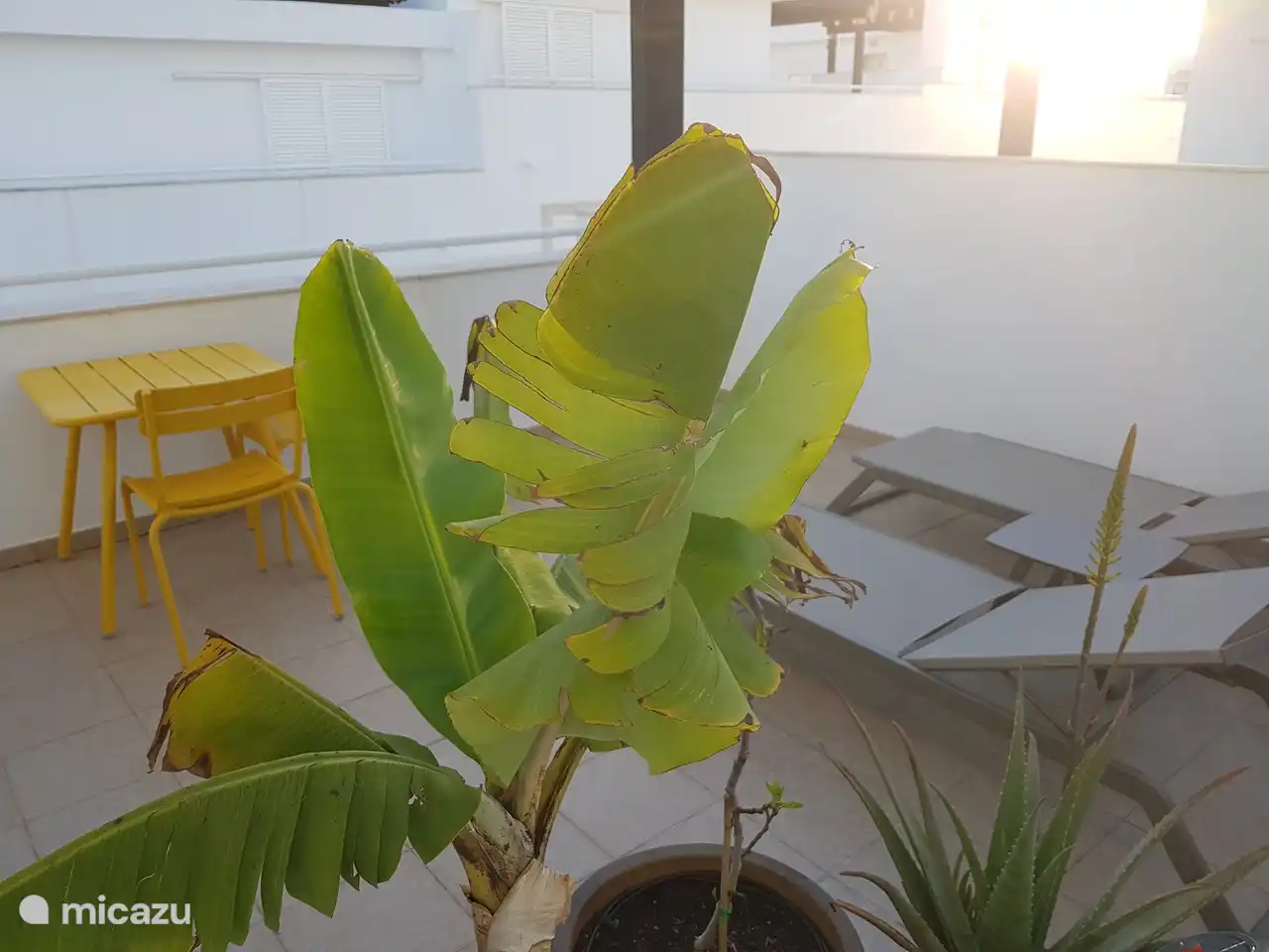 Puesta de sol en la terraza.