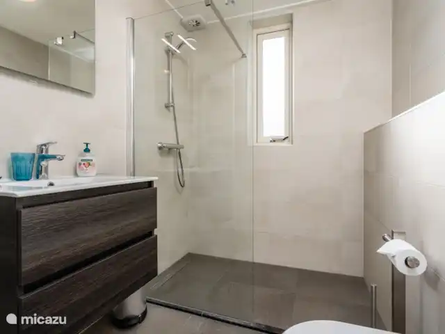 Digue | Pays-Bas, Zélande, Brouwershaven - maison de vacances Salle de bain 2 avec WC