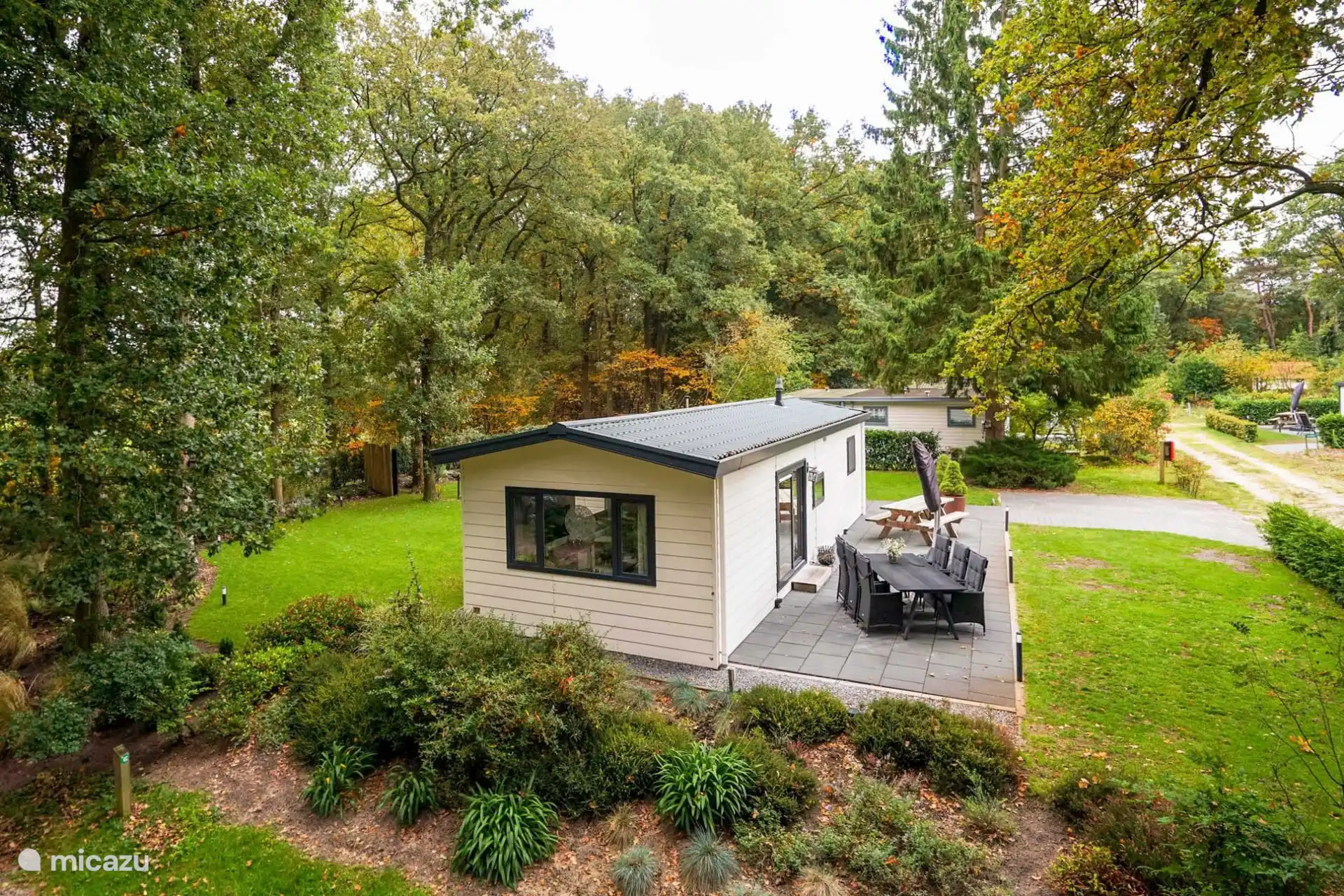 chalet, Meppen, Drenthe, Niederlande - Waldblick mit Wellness-Option 