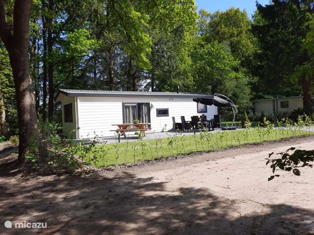 Holiday home in Netherlands, Drenthe, Wittelte - chalet Forest view