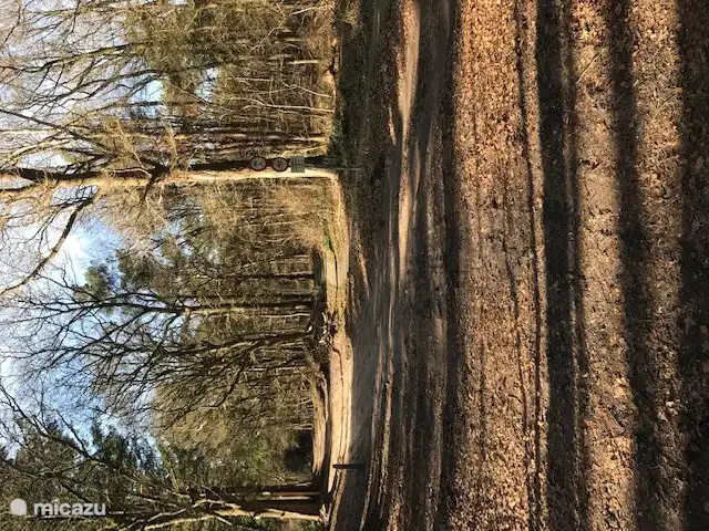 Der angrenzende Waldweg