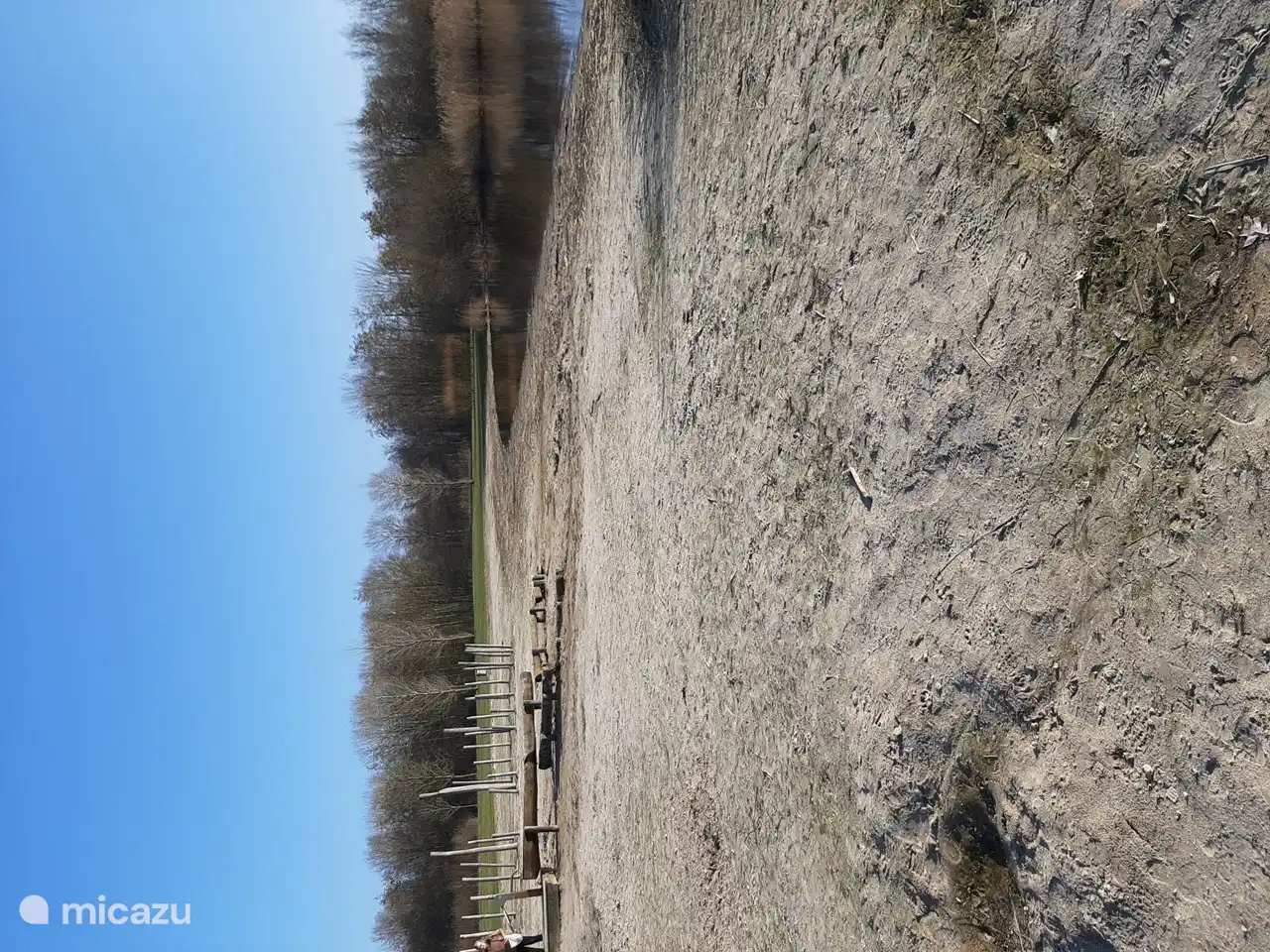 The beach at Eernewoude.