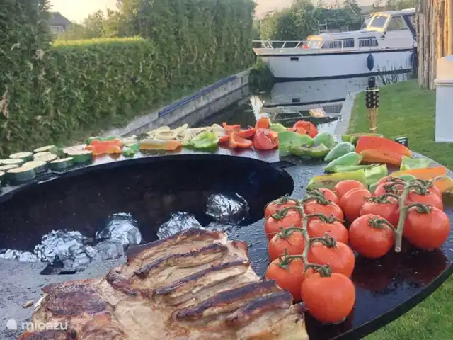 Villa Pura Vida : Profitez de la vie ! | Pays-Bas, Hollande méridionale, Oud Ade - villa viande, légumes, tout est possible !