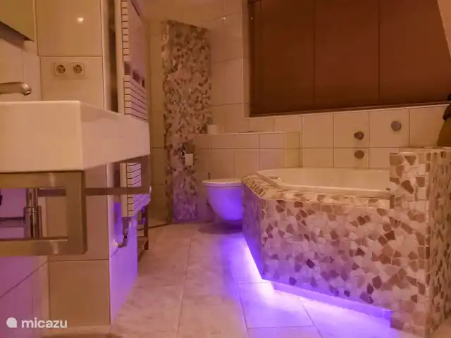 Villa Pura Vida : Profitez de la vie ! | Pays-Bas, Hollande méridionale, Oud Ade - villa mauvais la nuit