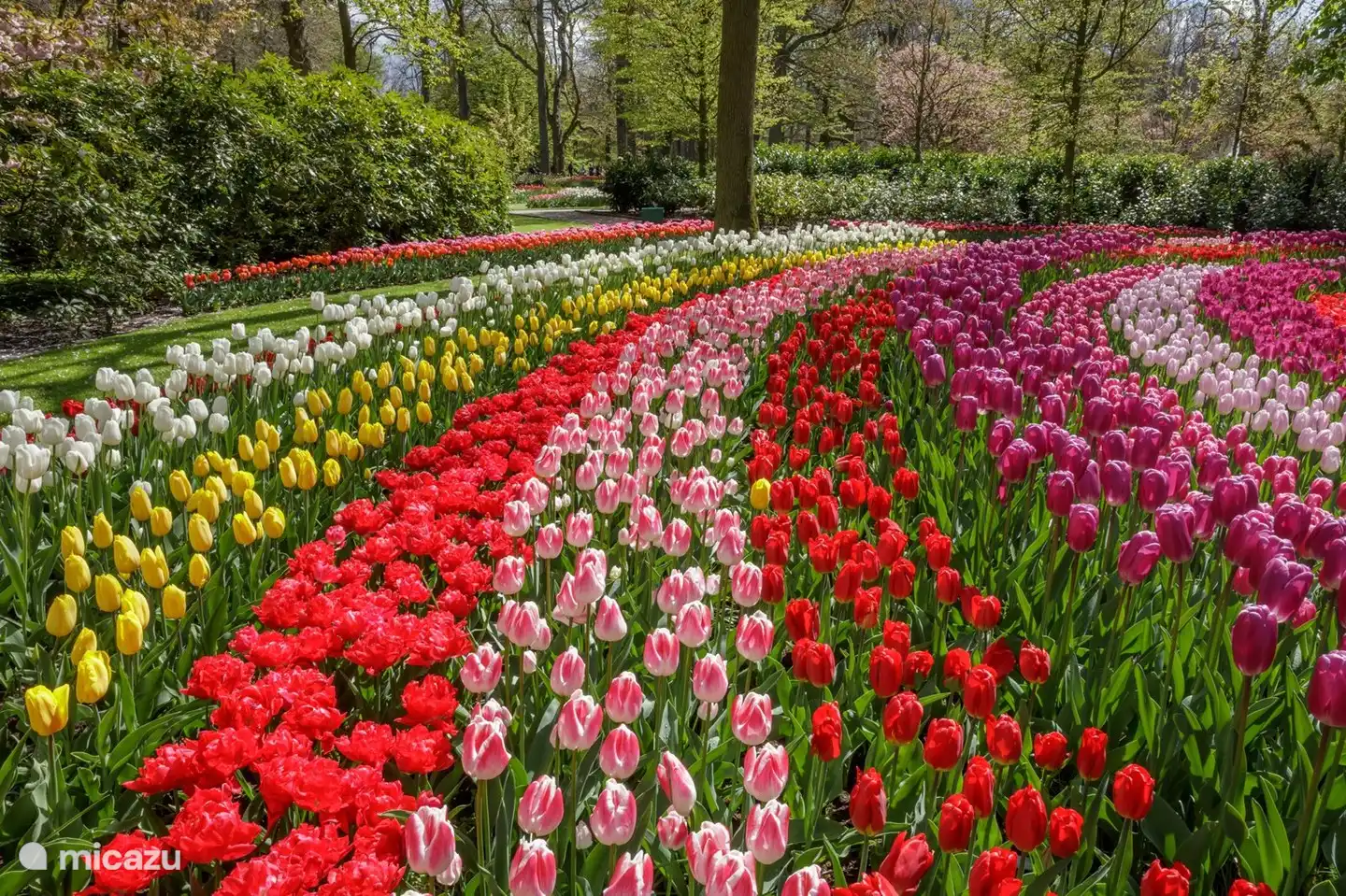 Keukenhof: 25 min.
