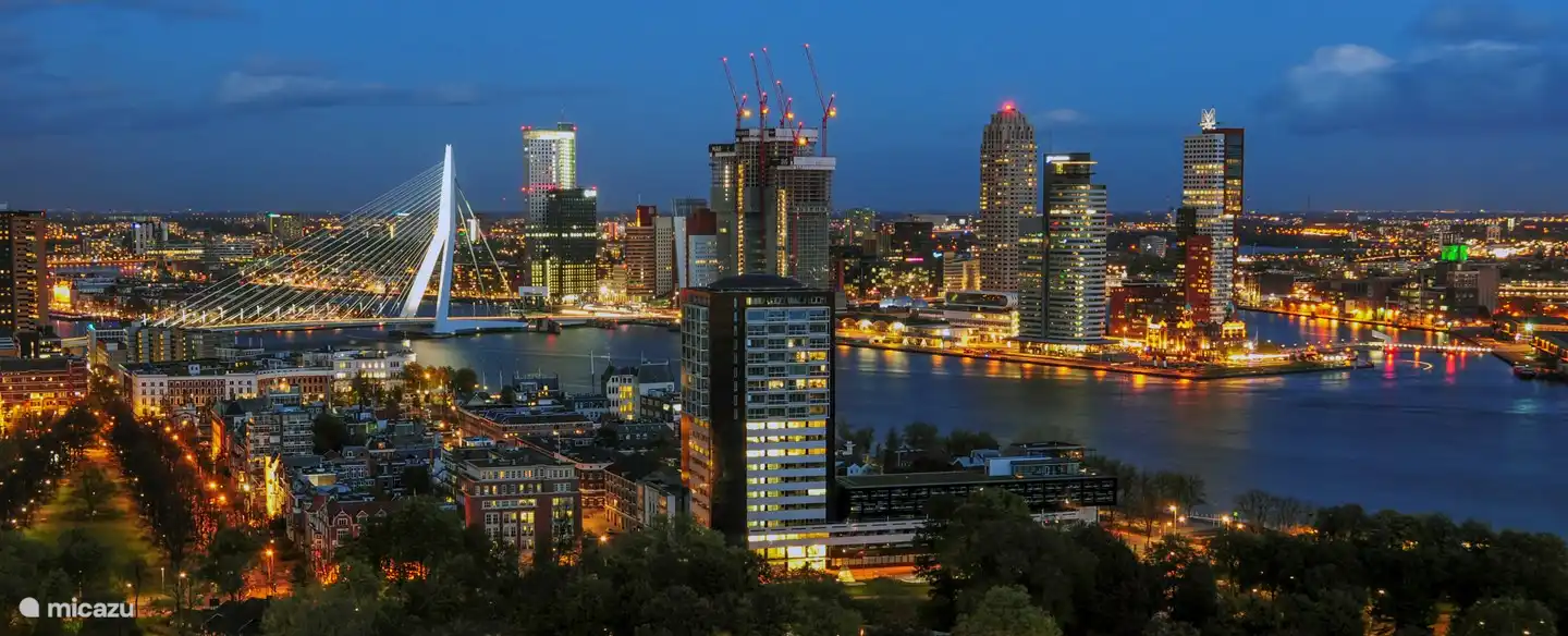 Rotterdam, Erasmus Bridge: 45 min.