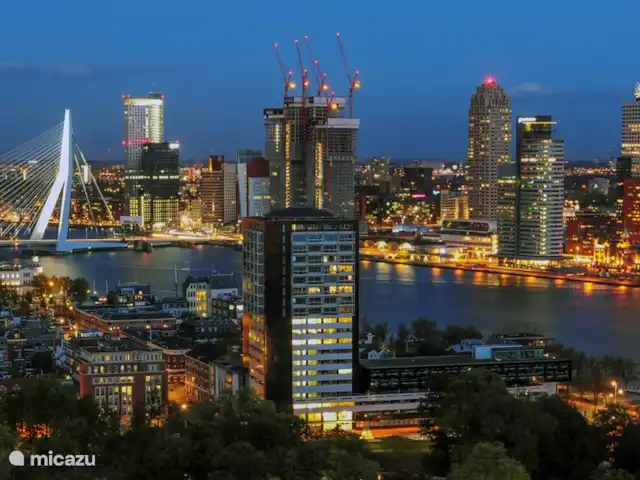 Villa Pura Vida : Profitez de la vie ! | Pays-Bas, Hollande méridionale, Oud Ade - villa Rotterdam, Pont Érasme : 45 min.