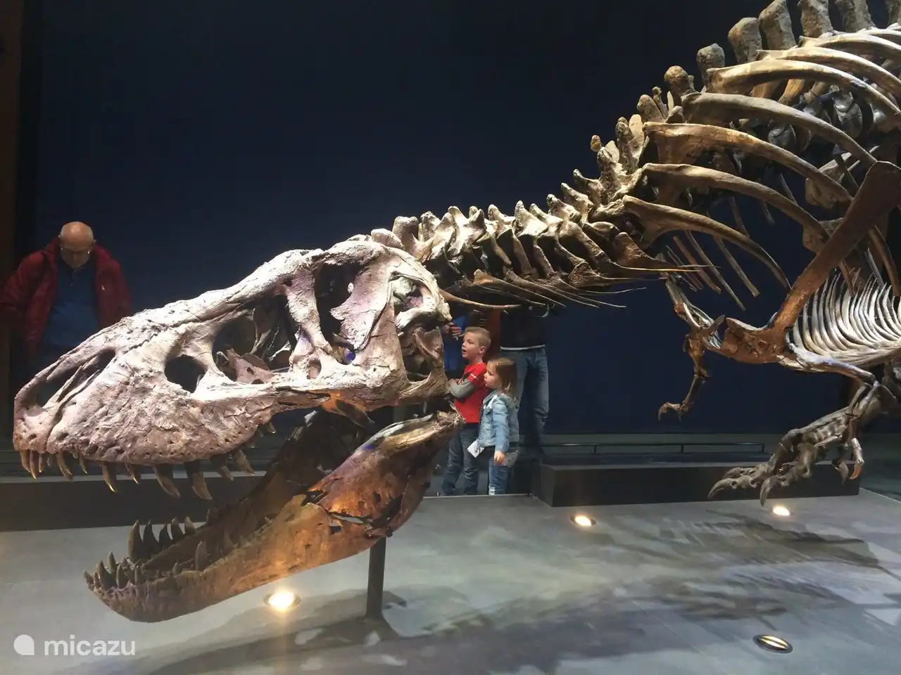 Leiden, Naturalis: 15 min.