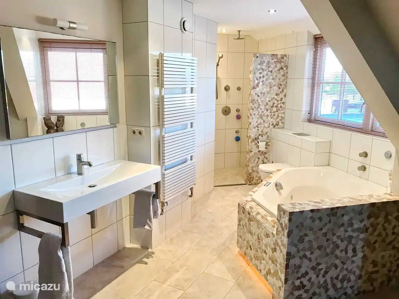 the bathroom of the suite