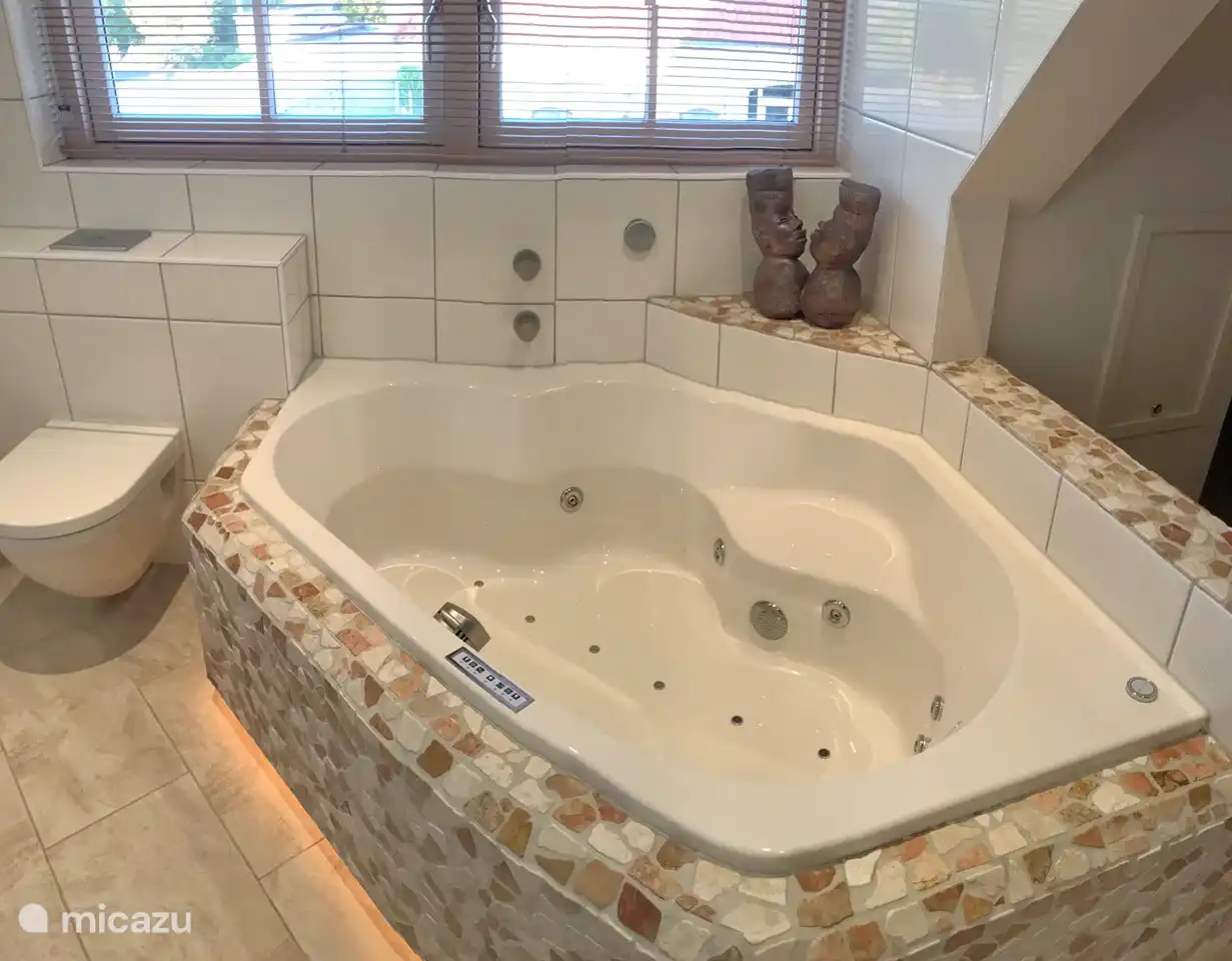 the jacuzzi in the suite