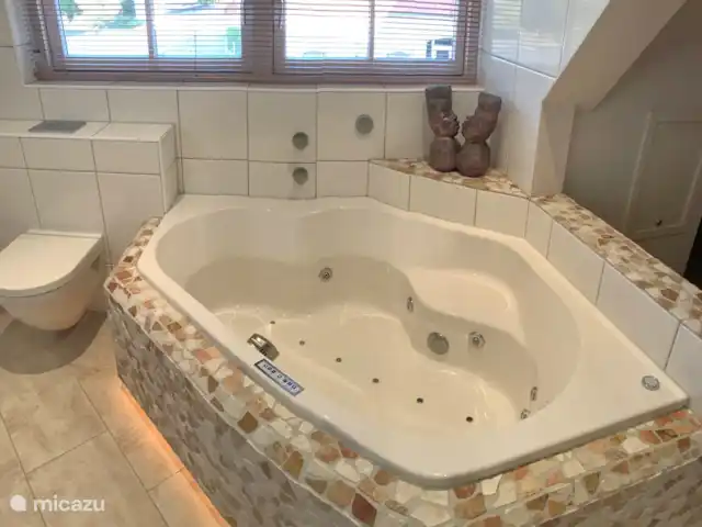 Villa Pura Vida : Profitez de la vie ! | Pays-Bas, Hollande méridionale, Oud Ade - villa le jacuzzi de la suite