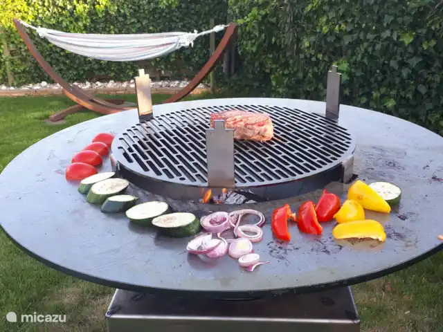 Villa Pura Vida : Profitez de la vie ! | Pays-Bas, Hollande méridionale, Oud Ade - villa tout le repas peut se faire sur l'Ofyr ;)