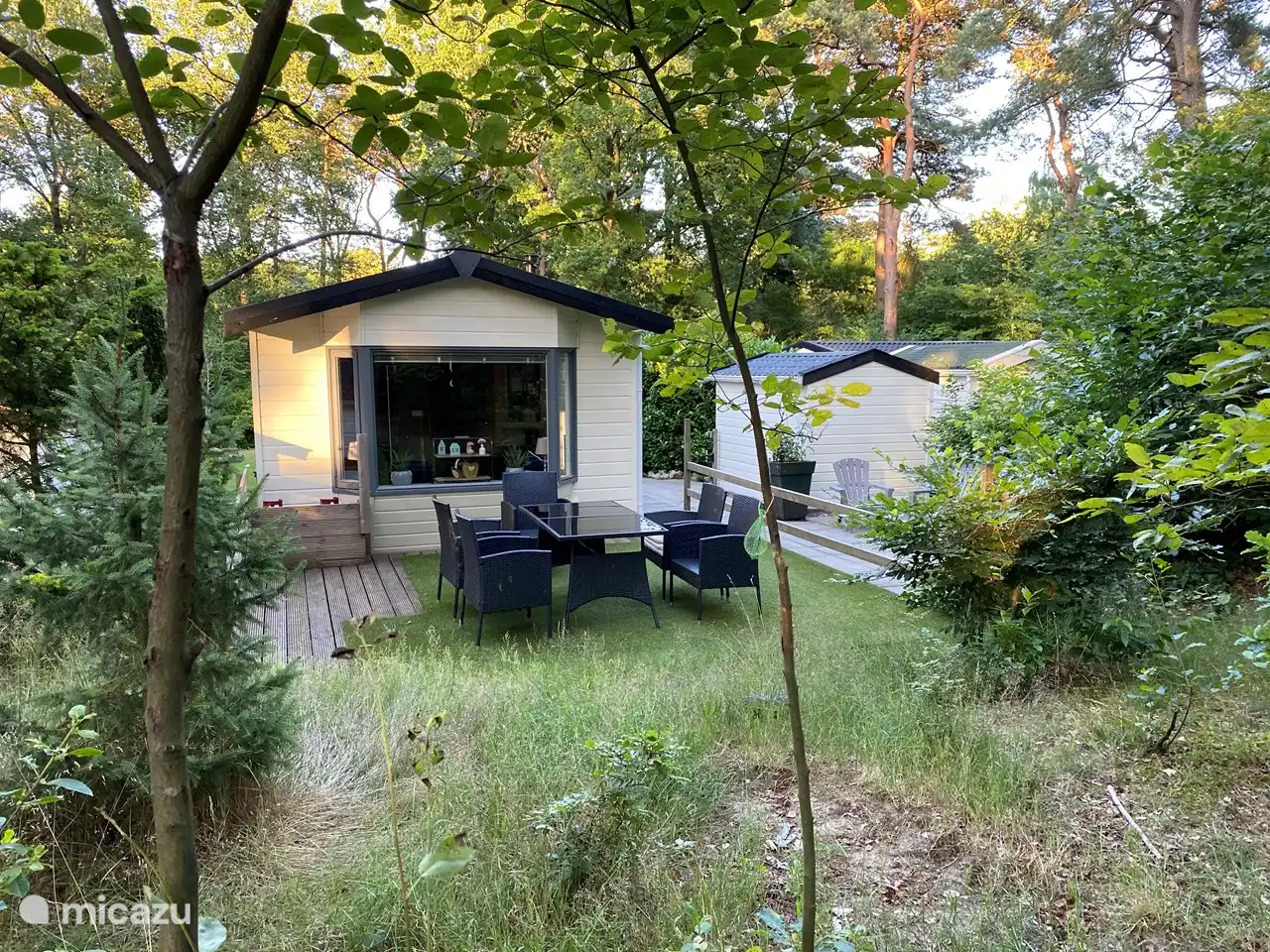 Chalet short-eared owl on the edge of the forest in Netherlands, Drenthe, Diever - chalet