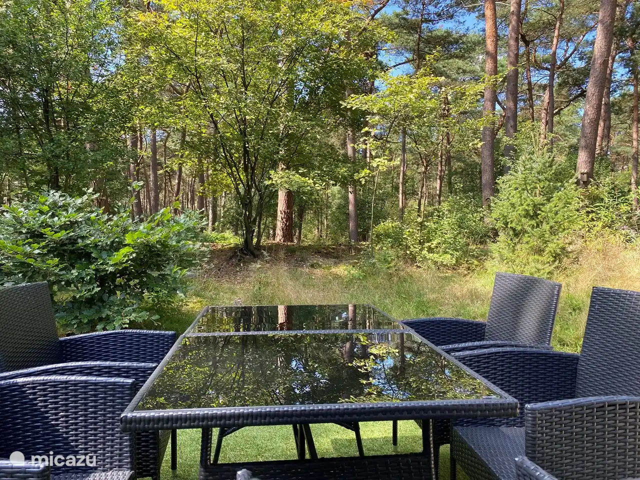 From the living room and from the terrace you have a beautiful view of the forest.