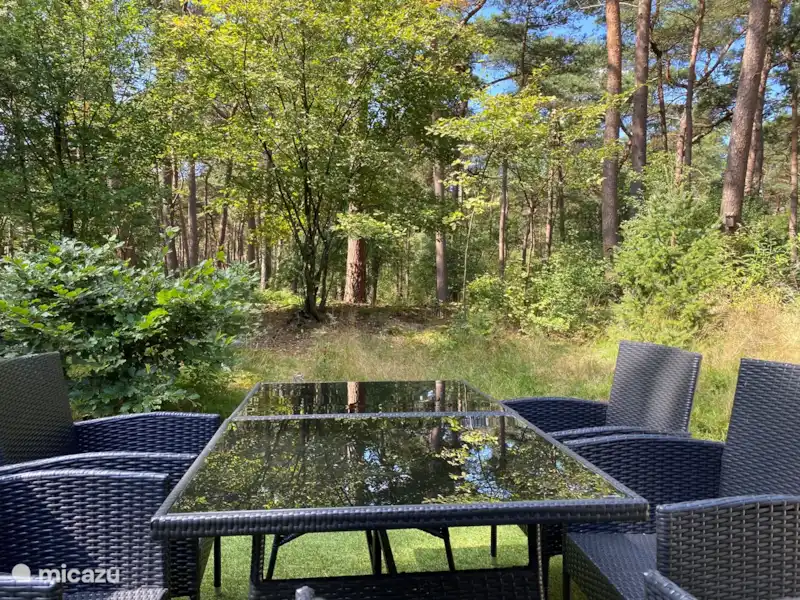 Chalet hibou des marais en lisière de forêt | Pays-Bas, Drenthe, Diever - Chalet Chalet hibou des marais en lisière de forêt | Pays-Bas, Drenthe, Diever - Chalet