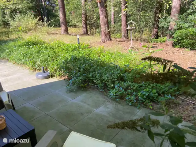 Chalet Petite Chouette | Pays-Bas, Drenthe, Diever - chalet