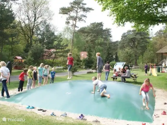 Chalet Petite Chouette | Pays-Bas, Drenthe, Diever - chalet