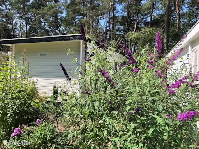Chalet Petite Chouette | Pays-Bas, Drenthe, Diever - chalet