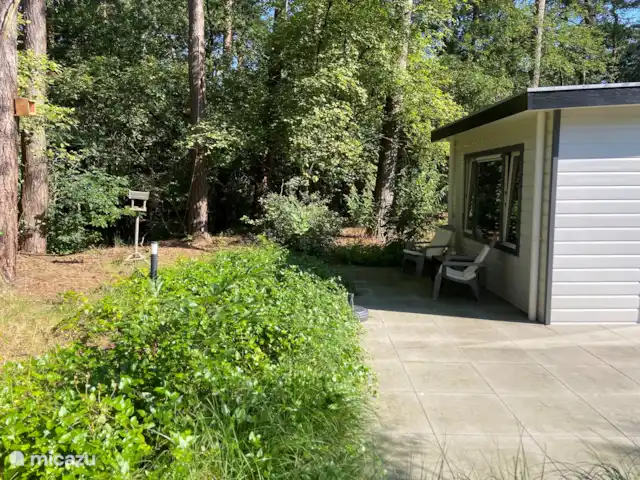 Chalet Petite Chouette | Pays-Bas, Drenthe, Diever - chalet