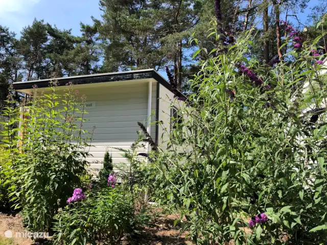 Chalet Petite Chouette | Pays-Bas, Drenthe, Diever - chalet