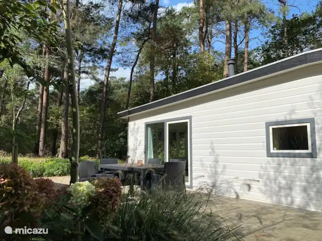 Chalet Petite Chouette | Pays-Bas, Drenthe, Diever - chalet